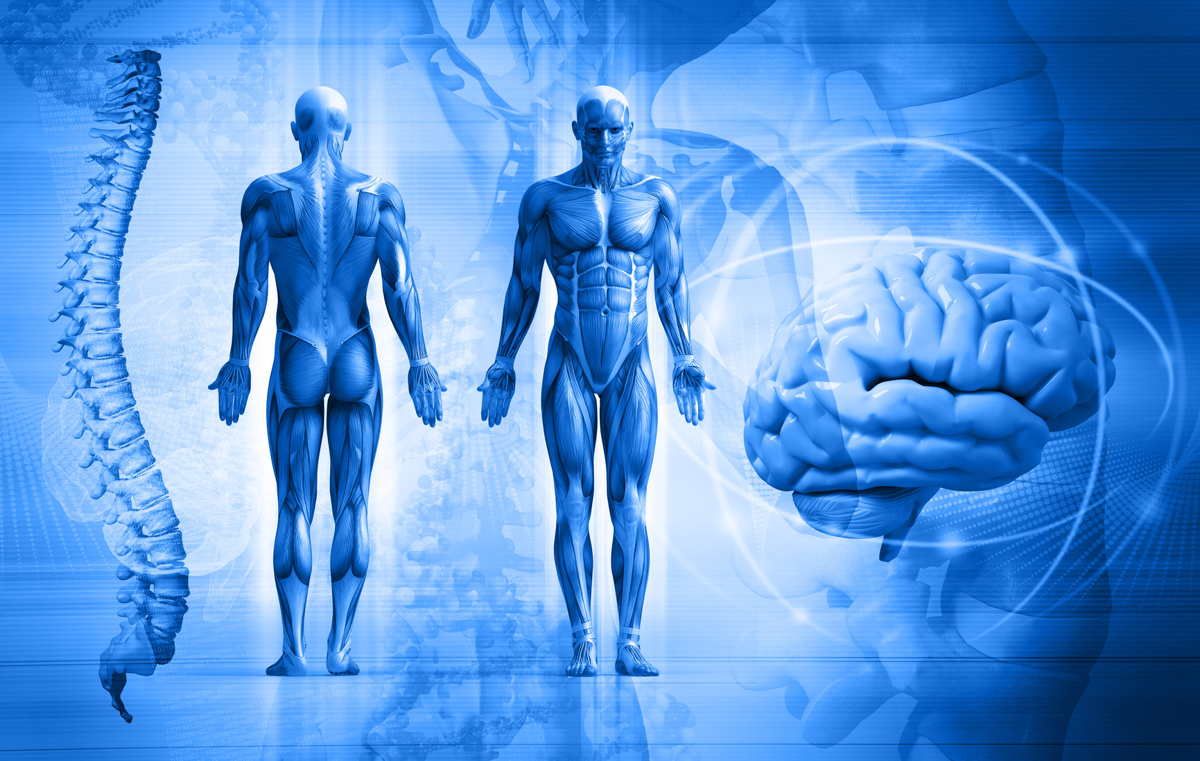 KINESIOLOGIA